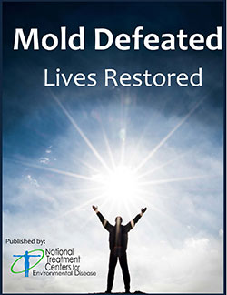 Mold Illness Mold Defeated book